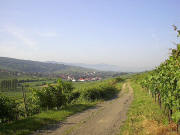 Blick nach S�den auf Pfaffenweiler am 13.7.2005