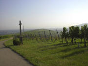 Blick nach Norden am Steinhauer-Kreuz am 13.7.2005 morgens früh um 7.30 Uhr