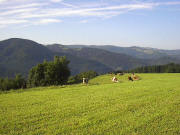 Blick vom Sommerberg ob Wagensteig beim Bernauerhof nach Süden zu Otten und Nessellache (links) und über Spirzen und Griesdobel zum Hinterwaldkopf