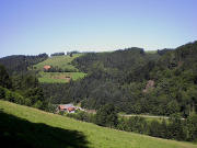 Blick vom Vogelackerweg nach Westen zum Haurihof im Wagensteigtal hoch zum Haurih�usle gegen 10 Uhr morgens