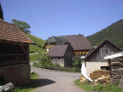 Blick nach Westen zum Hinterbauernhof Mitte Juli 2005