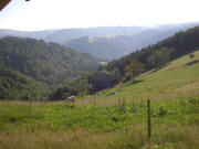 Blick nach Osten �bers Saierh�usle und Wagensteigtal hoch zum Steigweg zwischen Schweigbrunnen und Spirzen in der Morgenfr�he