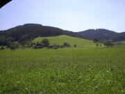 Blick nach Süden zum Schweizermelchershof Mitte Juli 2005