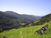 Blick von Zufahrt Wirtshäusle nach Süden zum Otten (links) bis hin zum Hinterwaldkopf