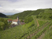 Blick nach Westen �ber Alt-Vogtsburg zum Badberg rechts oben Ende Mai 2005