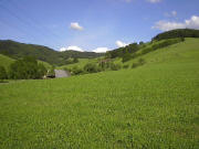 Blick nach Osten ins Weilersbach - vorne der Birkenmaiershof