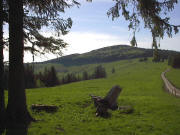 Blick zurück nach Westen zur Erlenbacher Höhe (rechts, wo der Weg in den Wald geht) und Hohfahrn (1264 m) - links die Erlenbacher Hütte