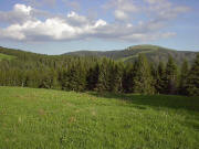 Blick vom Ahornkopf (1254 m) nach Osten zum Feldberg mit Schneerest am Zastlerhang Ende Mai 2005