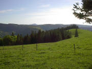 Blick zur�ck nach S�dwesten �ber Ahornkopf und St.Wilhelmertal hoch zum St�benwasen (helles Dach) bis hin zum Belchen
