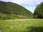 Blick vom Gemsenh�usle nach Westen zum Gassenbauernhof am 27.5.2005