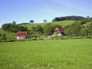 Blick nach Norden zum Helmlehof Ende Mai 2005