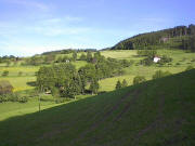 Blick nach S�dosten zum Hiesle ob V�rlinsbach Ende Mai 2005 