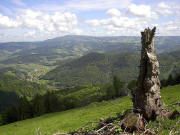 Blick vom Häusleberg nach Norden über Falkensteig und Himmelreich ins Dreisamtal bis hoch zum Kandel im Juli 2005