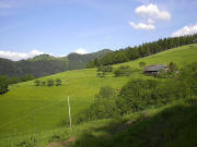 Blick nach Nordosten �ber den K�chlebauernhof zum H�usleberg im Mai 2005