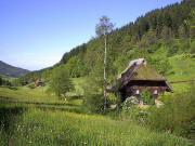 Blick nach Südwesten zur Landwasserhofmühle bei Oberprechtal im Mai 2005