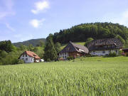 Blick zum Mattenhof im Mai 2005