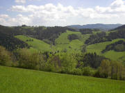 Blick vom s�dlichen Ende des Mondschein nach S�den zum Lindenberg (links) und zum schneebedeckten Feldberg am 1.5.2005