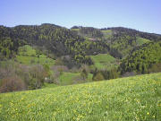 Blick vom Mondschein nach Norden �ber den Scherlenzendobel hoch zum Grundhof (Mitte) und Langeckhof (rechts)