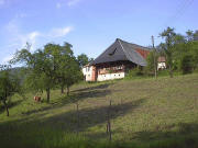 Blick zum Schererhof Ende Mai 2005