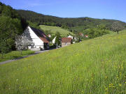 Blick nach Osten ins Weilersbach zu Schlemmershof, Suttershof und Fre�lehof (von vorne) im Mai 2005