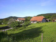 lick nach Norden zum Steiertenhof im V�rlinsbach im Mai 2005