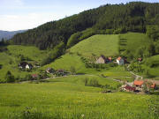 Blick vom Spitzh�usle nach Norden zu Suttershof und Fre�lehof (von links) Ende mai 2005