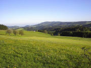 Blick vom Thurner nach Westen zu St.M�rgen und Kandel im Mai 2005
