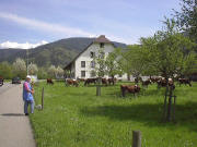 Blick nach Norden zum Vogtshof am 30.4.2005