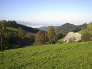 Blick über den Danielenhof ins neblige Dreisamtal am 17.10.2005