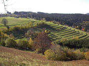 Blick nach S�den von "Auf dem S�ttle" zu Ehrsberg am 30.10.2005