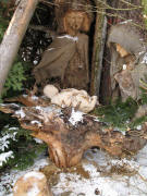 Blick in die Krippe auf dem Gipfel des Kamelbergs am 19.12.2005