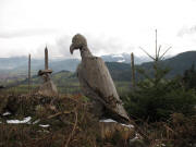 Blick vom Geier auf dem Kamelberg nach Osten zu Hinterwaldkopf (rechts) und Kirchzarten am 26.12.2005