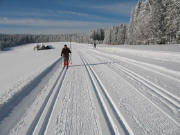 Blick nach Westen zum Holzh�usle, von dem es rechts runter zum Start der Thurnerspur geht