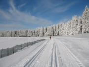 Blick nach Westen auf der Thurnerspur bei Breitnau am 30.12.2005