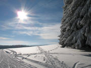 Blick nach S�dwesten hoch zum Doldenb�hl auf der Thurnerspur am 30.12.2005