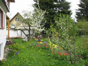 Blick nach Norden am 25.4.2006
