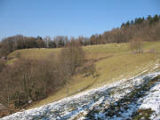 Blick nach Norden zur Schafherde auf den Hebsackwiesen am 13.3.2006