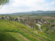 Tele-Blick vom Nimberg nach Nordosten auf Malterdingen am 30.4.2006