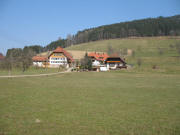 Blick nach Norden zum Vogelhof am 19.3.2006