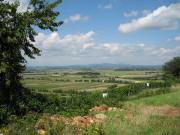 Blick vom Altenberg nach Norden zum Batzenberg und Sch�nberg am 26.10.2006