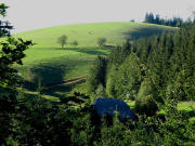 Blick von der Strasse Neuh�usle - Glash�tte nach Norden �ber Hinterer hoch zum Hornberg am 18.8.2006 um 17.30 Uhr