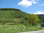 Blick vom Sulzbach nach Norden zum Kastelberg am 15.8.2006