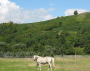 Tele-Blick nach Nordwesten zur �lbergkapelle am 15.8.2006