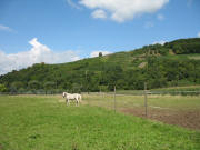 Blick vom Schlierberghof nach Nordwesten zur �lberkapelle (links) und �lberg am 15.8.2006