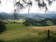 Blick von der Anh�he �berm Thomasberghof im Rechtenbach nach S�dosten �ber Unteribental-Hofacker hoch zum Hinterwaldkopf am 4.8.2006