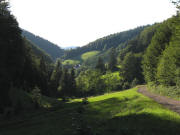 lick vom Spannpeterhof nach Westen in den Holzschlag am 18.8.2006 abends