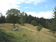 Blick �ber den Grillplatz am Streckereck am 4.8.2006 nach Westen zur Schutzh�tte 