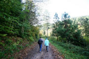 Wanderweg im Arboretum