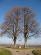 Hippenkreuz am Westrand von Biengen - Blick nach Norden am 28.12.2006