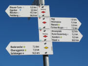 Der Westweg f�hrt �ber den Hochblauen